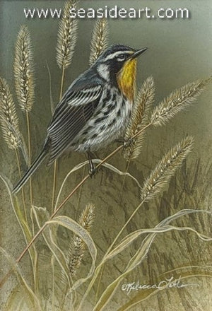 Prairie Perch (Yellow-throated Warbler)