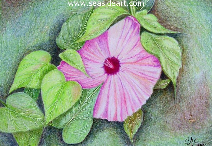 Pretty in Pink - Hibiscus by Connie Cruise - Seaside Art Gallery