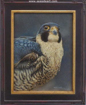 Proud-Peregrine Falcon by Rebecca Latham - Seaside Art Gallery
