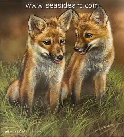 Puppy Chats (Red Fox Kits)