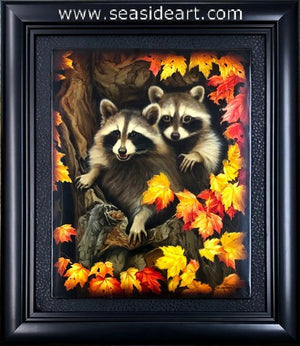 Raccoon Family