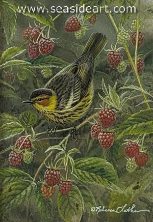 Raspberry Patch (Cape May Warbler)