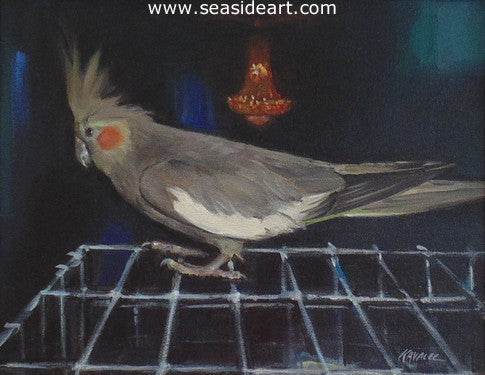 Realistic Study of A Cockatiel by Gregory Kavalec - Seaside Art Gallery