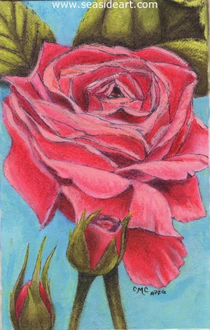 Pink Rose by Connie Cruise - Seaside Art Gallery