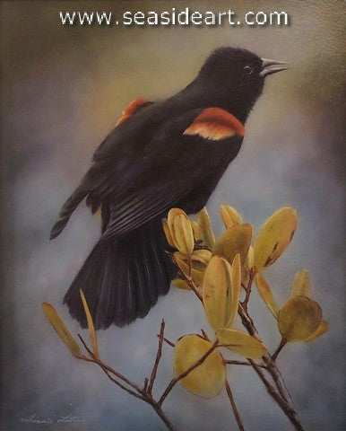 Marsh Call (Red-winged Blackbird)