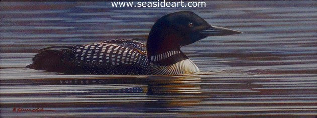River's Calm (Common Loon)
