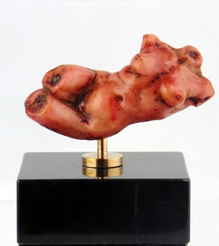 Ruby…In A Red Mood by Sharon "Dee" Shaughnessy - Seaside Art Gallery