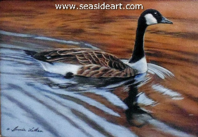 Seasons Color (Canada Goose)