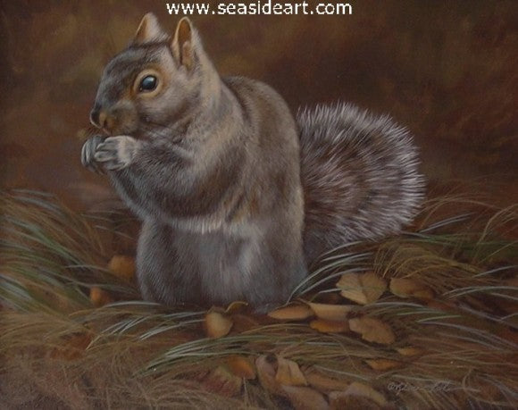 Grassy Seat-Gray Squirrel by Rebecca Latham - Seaside Art Gallery