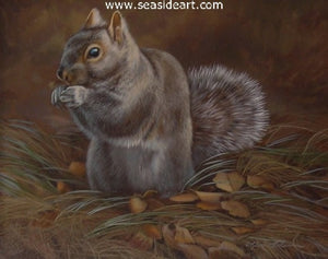 Grassy Seat-Gray Squirrel by Rebecca Latham - Seaside Art Gallery