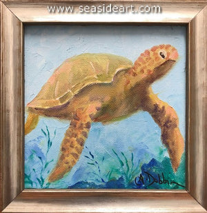 Dobbin-Sea Turtle II