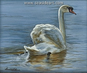 Serene Reflections (Mute Swan)
