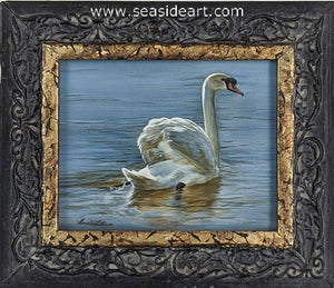 Serene Reflections (Mute Swan)