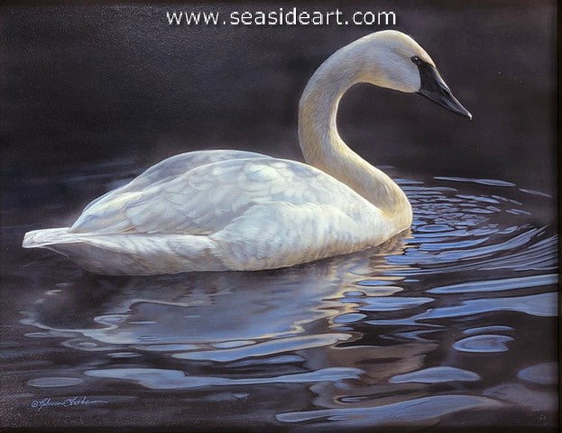 Shadow Glow (Trumpeter Swan)