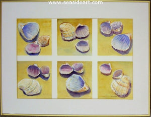 Shells & More Shells by Janet Groom Pierce - Seaside Art Gallery