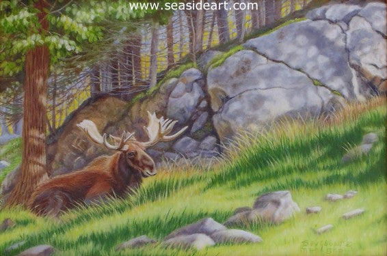 Sheltered Sunny Spot