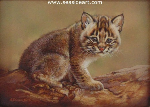 Shy - Bobcat Kitten by Rebecca Latham - Seaside Art Gallery