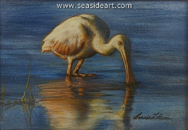 Sifting (Roseate Spoonbill)