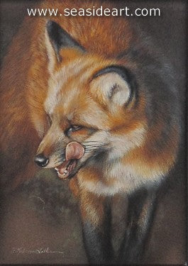 Snacking-Red Fox by Rebecca Latham - Seaside Art Gallery