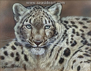 Captivating Grace (Snow Leopard Cub)