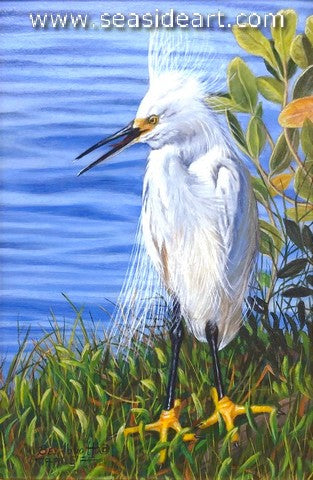Snowy Egret on a Windy Day