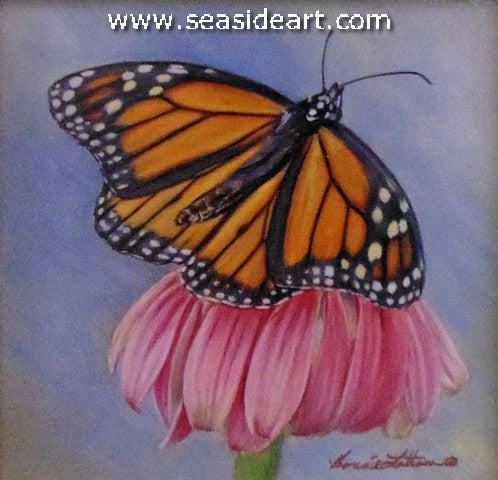 Sojourn (Monarch Butterfly)