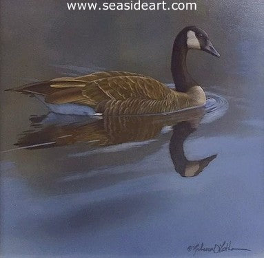 Solo (Canada Goose)
