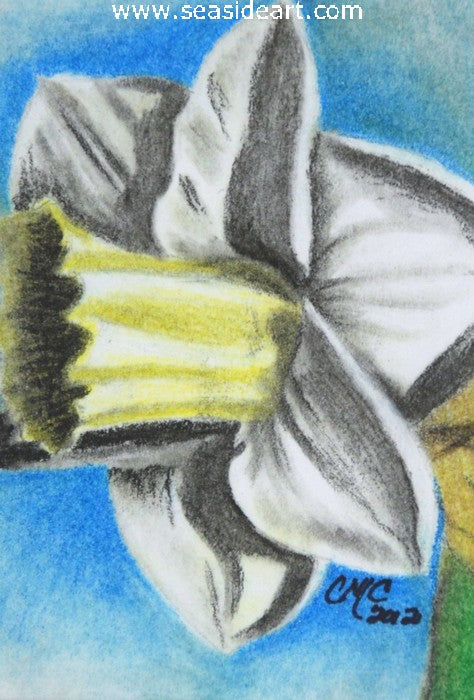 Spring - Daffodil by Connie Cruise - Seaside Art Gallery