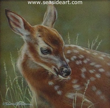 Spring Dreams (Whitetail Fawn)