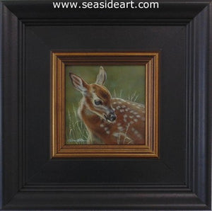 Spring Dreams (Whitetail Fawn)
