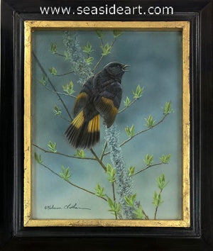 Spring Symphony (American Redstart)