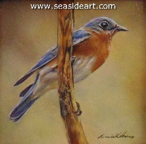 Spring Visitor (Blue Bird)