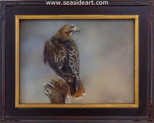 Stalker(Red Tailed Hawk)