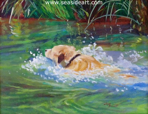 Swimming in Oak Creek