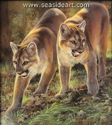 The Autumn Companions (Cougars)
