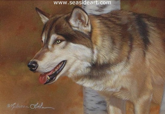 Through the Birch-Wolf by Rebecca Latham - Seaside Art Gallery