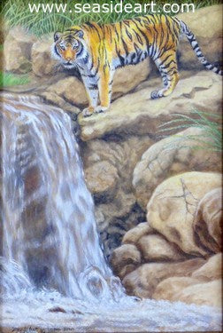 Tiger by Rocky Waterfall II