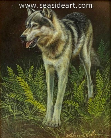 Timberwolf Afternoon