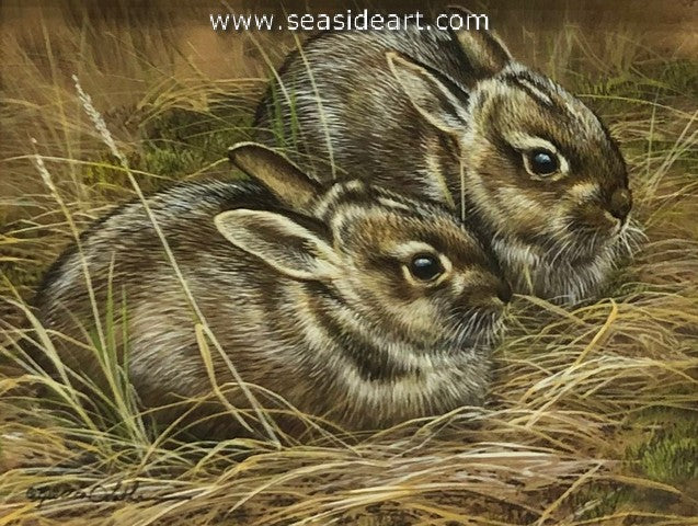 Tucked In (Baby Rabbits)