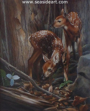 Twins – Fawns by Karen Latham - Seaside Art Gallery
