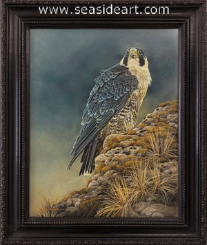Vigilance (Peregrine Falcon)