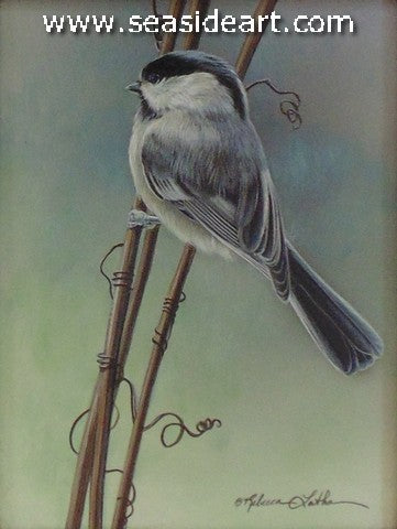 Vineyard Perch (Chickadee)