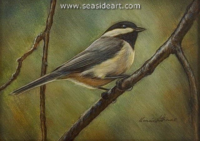 Waiting (Black-capped Chickadee)