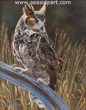 Waiting (Great Horned Owl)