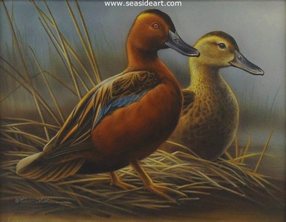 Water’s Edge-Cinnamon Teal by Rebecca Latham - Seaside Art Gallery