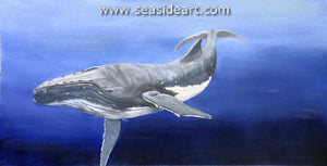 Cruise-Humpback Whale