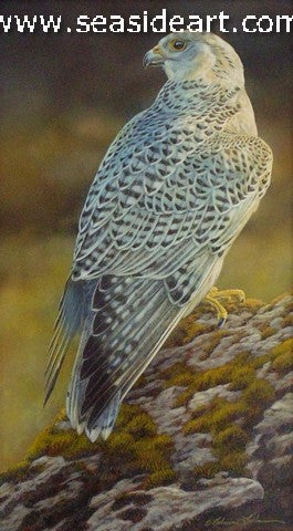 White Hunter (Gyrfalcon)