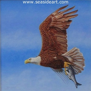 Wild & Free (Bald Eagle) by Beverly Abbott - Seaside Art Gallery