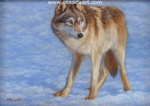 Winter Pause (Wolf) by Rebecca Latham - Seaside Art Gallery