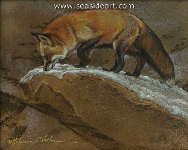 Winter Scent (Red Fox)